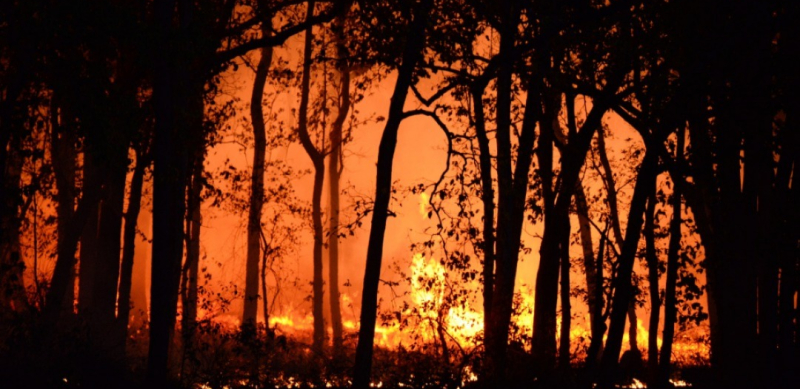 Fim do período chuvoso acende alerta para incêndios em áreas urbanas e de preservação em Araxá